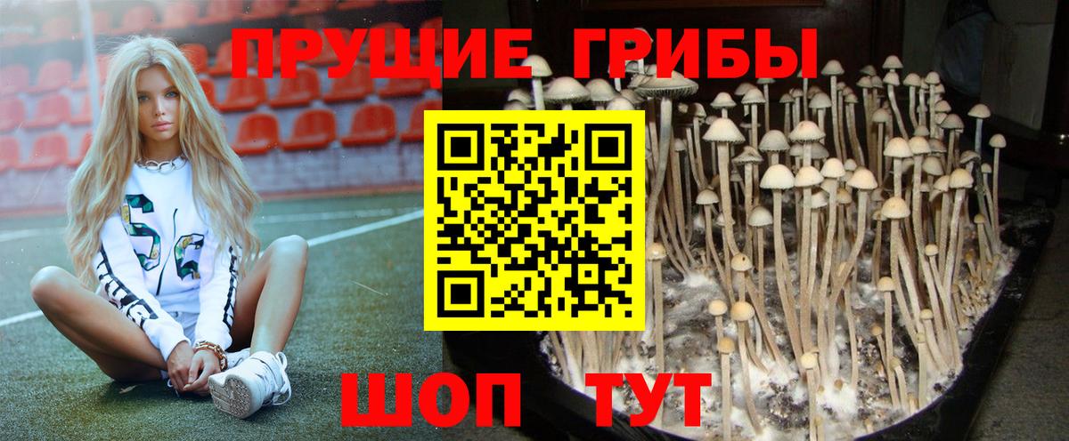 Галлюциногенные грибы мухоморы  Вход с VPN  купить   Галлюциногенные грибы Cubensis  Юрга 